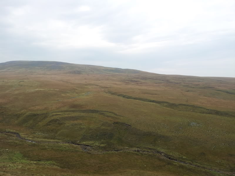2011-10-02154900.jpg