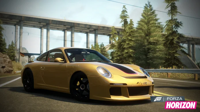 2011_RUF_Rt12R_WM_695.webp
