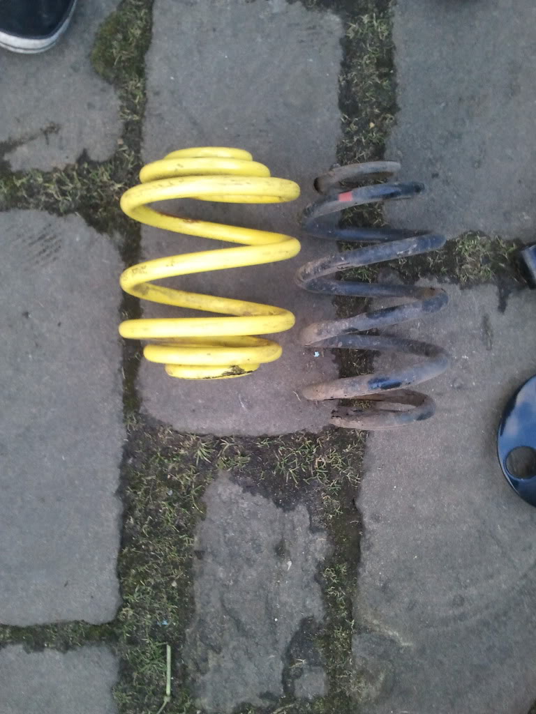 2012-02-19165955.jpg 2012-02-19165955.jpg