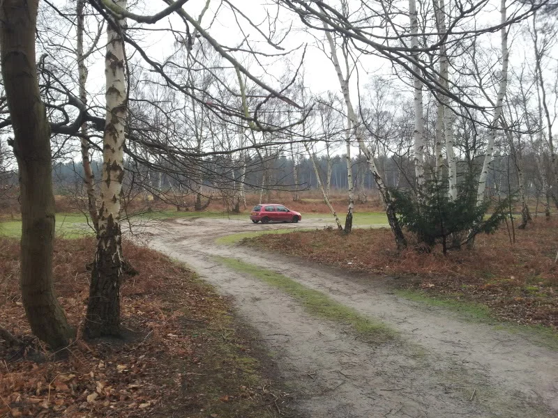 20120129_123315.webp