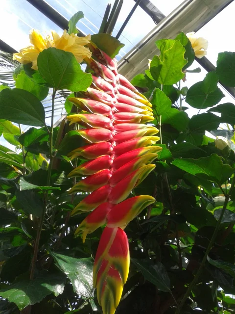 20120803_144848.webp