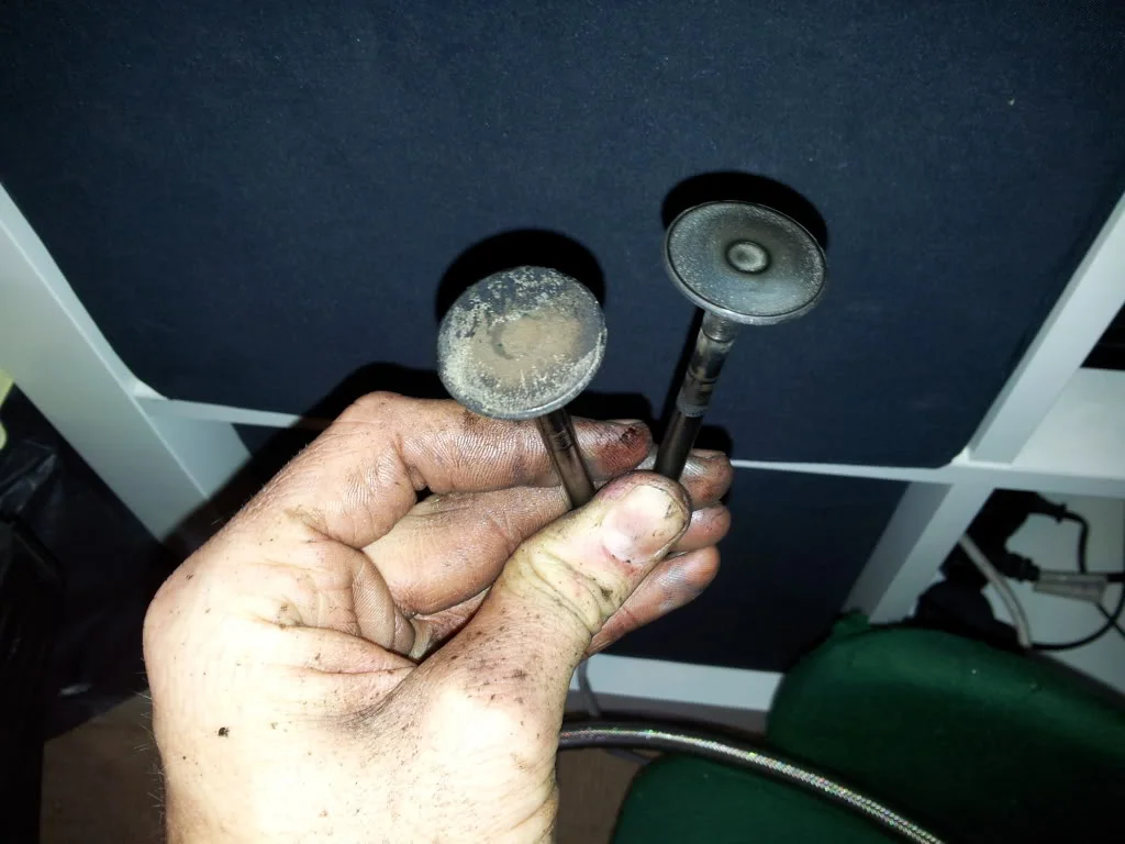20121122_133831.webp
