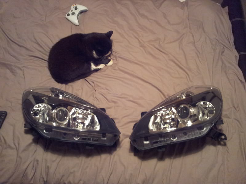 2013-01-04211809.jpg 2013-01-04211809.jpg