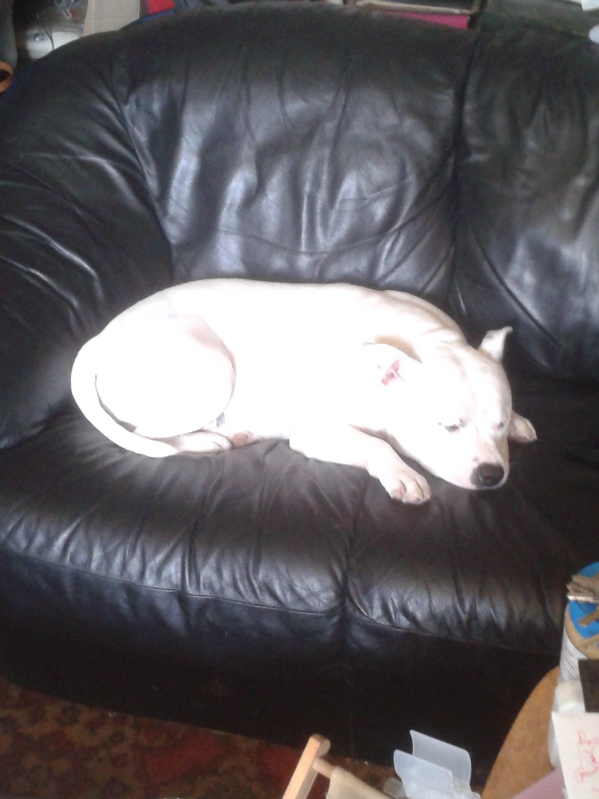 2013-04-23 15.09.18.jpg