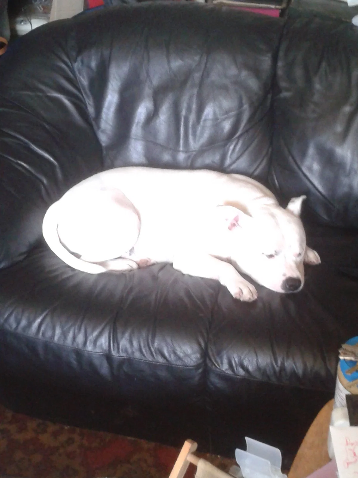 2013-04-23 15.09.18.webp