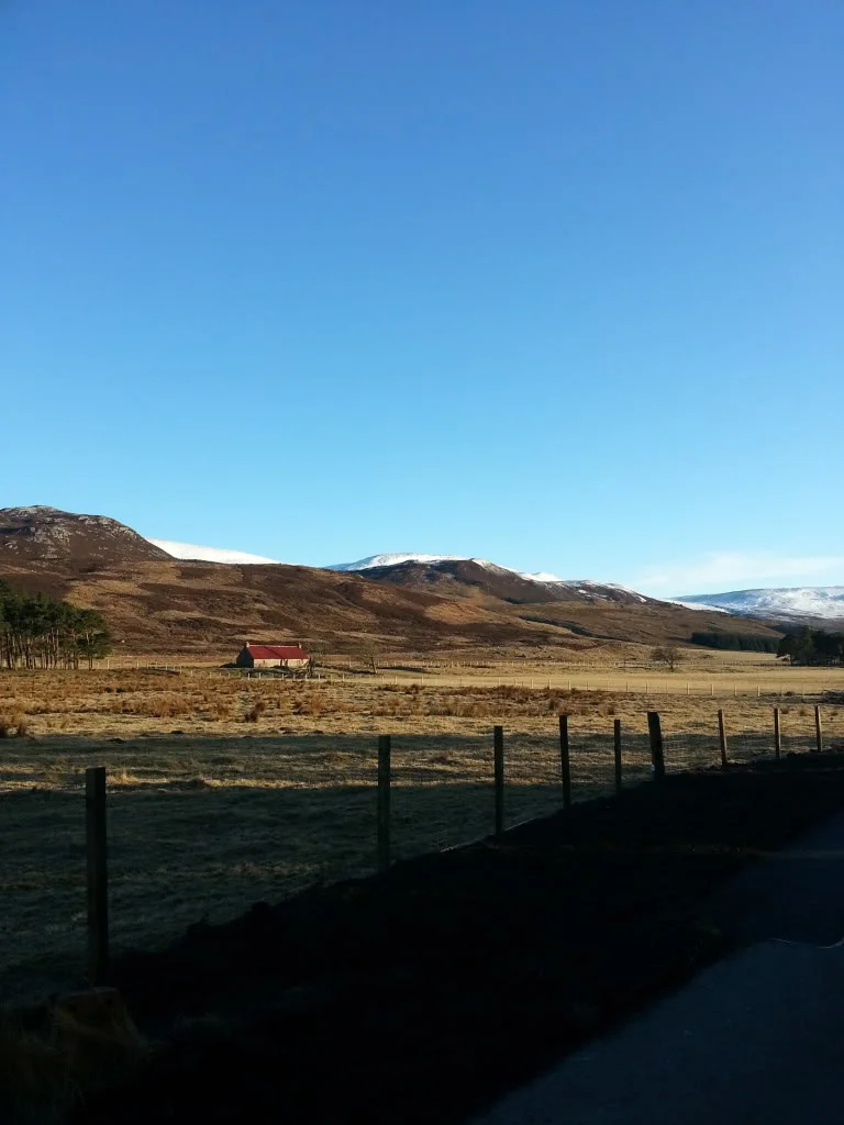 20130330_174629_zps6bfdd7cd.webp