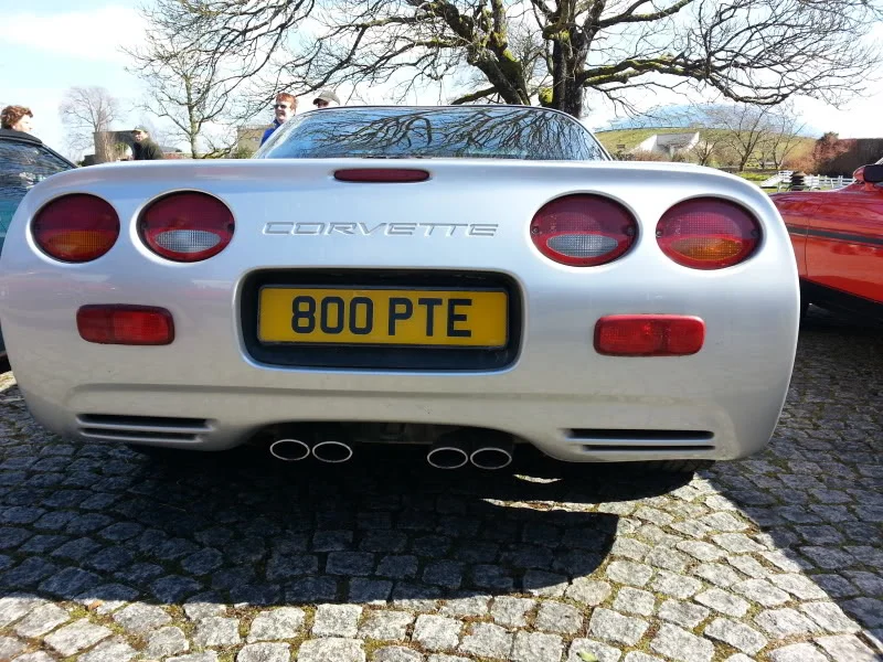20130331_144534_zps65fffe2c.webp