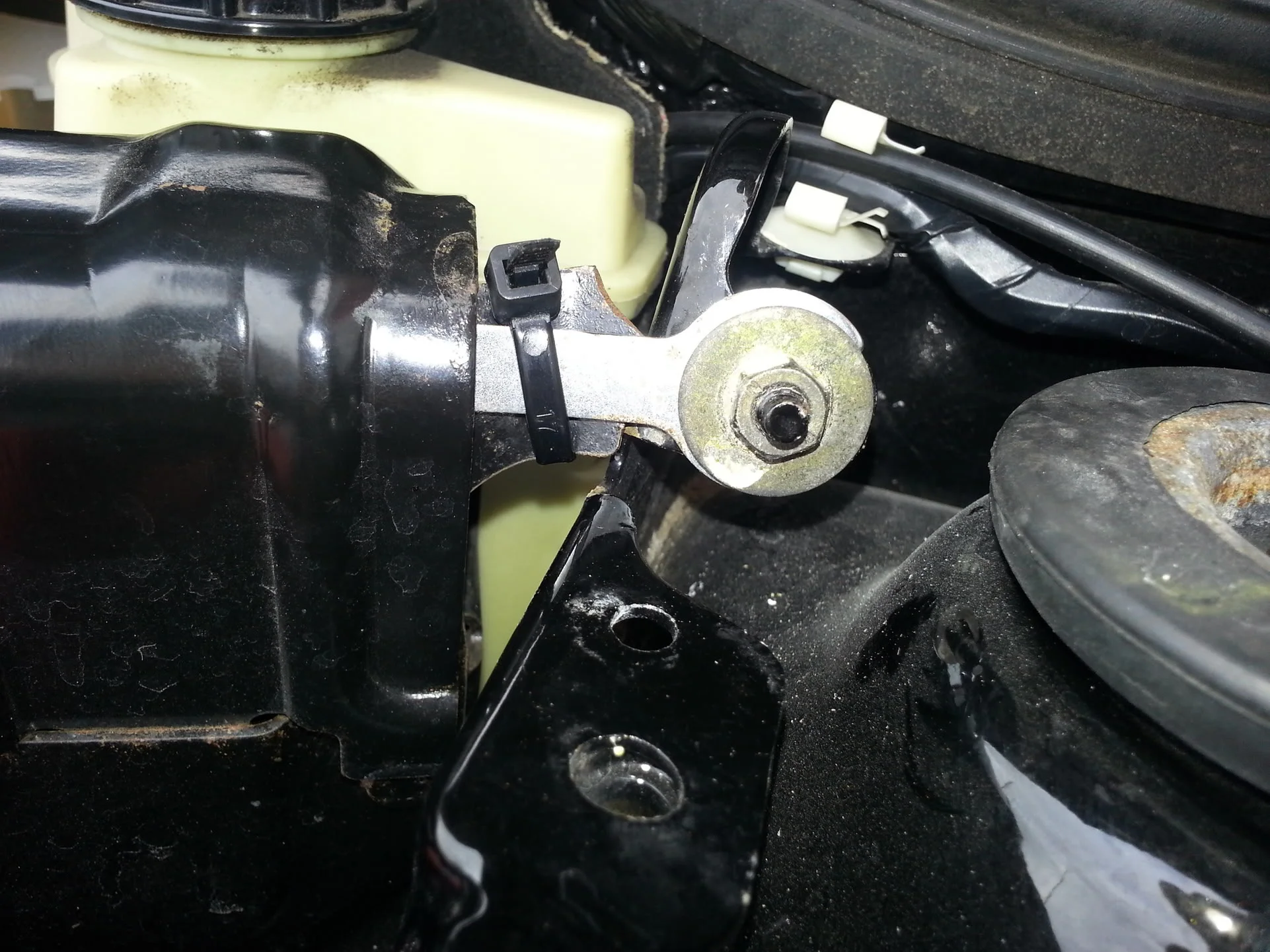 20130424_161306_zps43ee9a4c.webp
