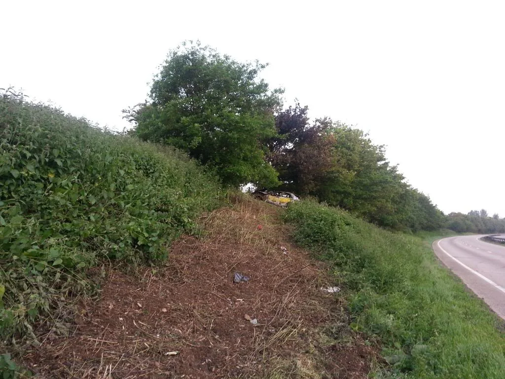 20130618_054321_zps3d24e3c1.webp