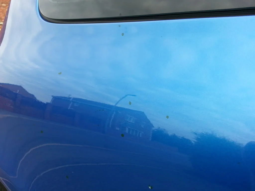 20130625_174943_zps435c887a.webp