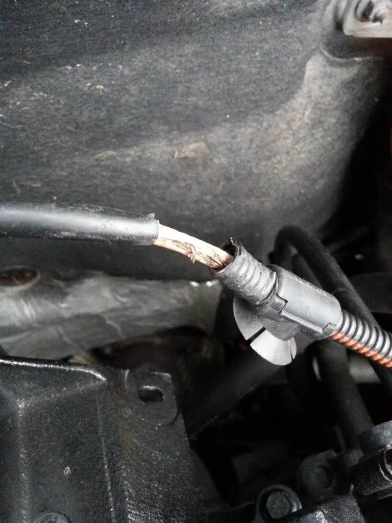20130625_200824_zpsfe781919.webp