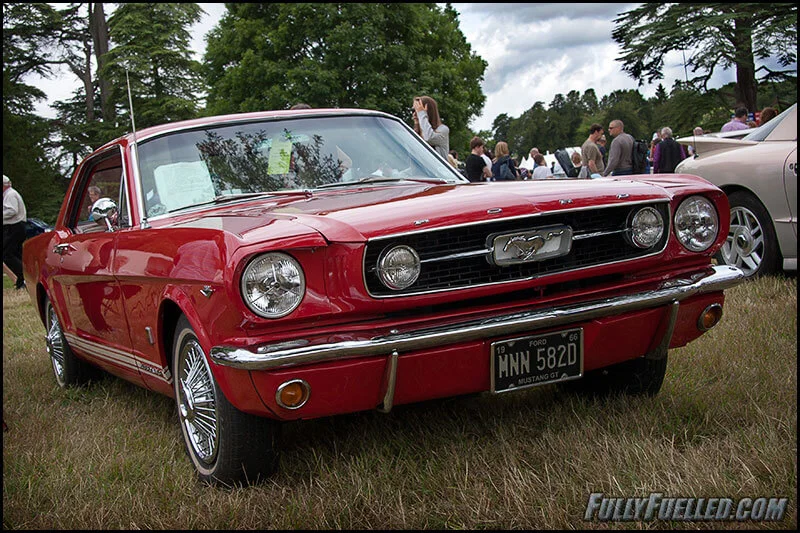 20130804_wilton_009.webp