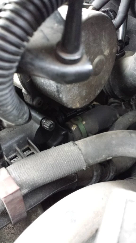 20130814_181711_zps204b81f2.webp