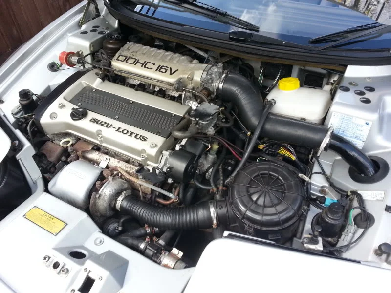 20130818_143529_zps2066cb34.webp