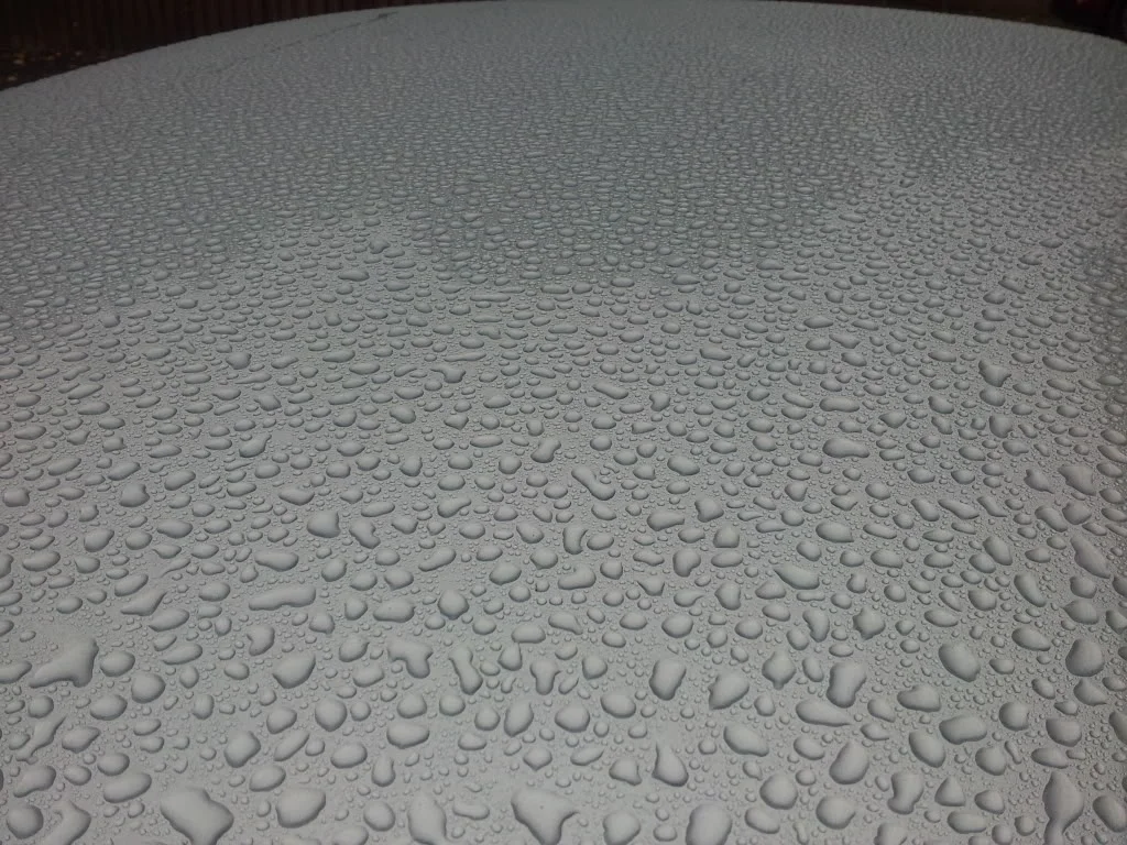 20131008_094322.webp