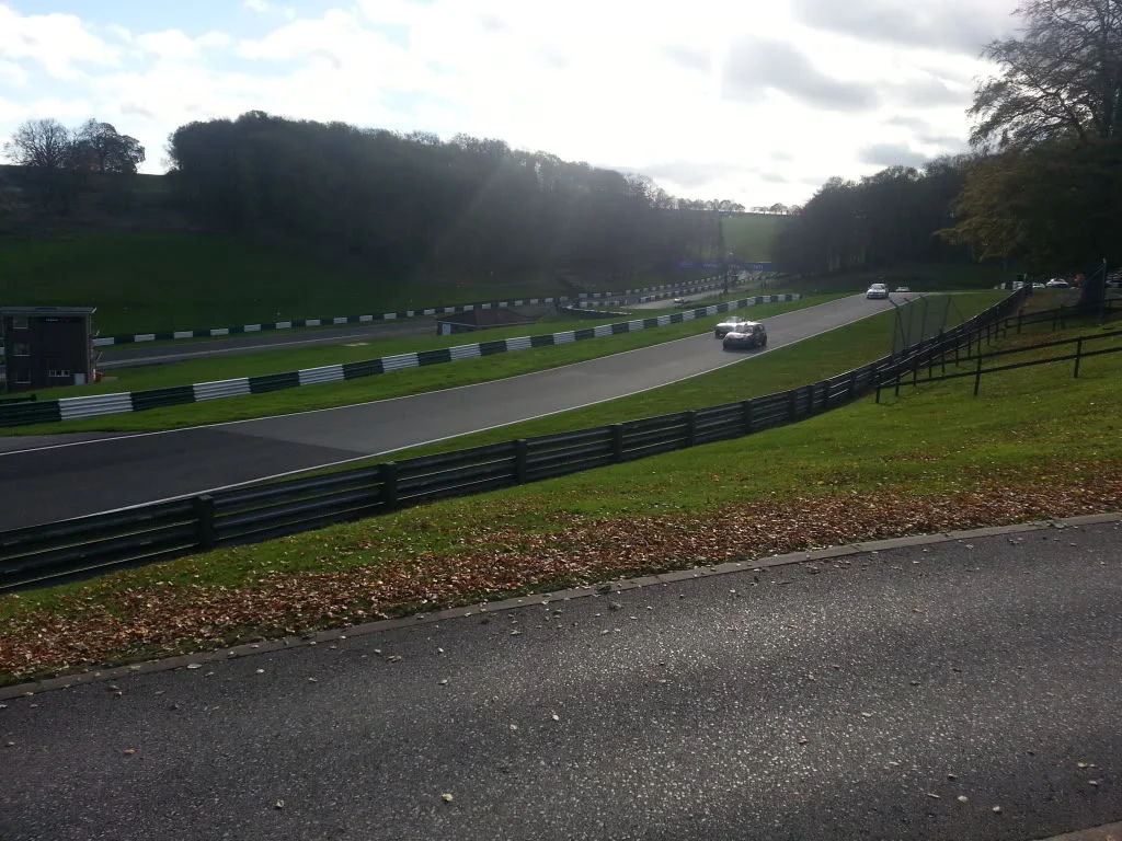 20131103_113454_zpsf13e9da4.webp