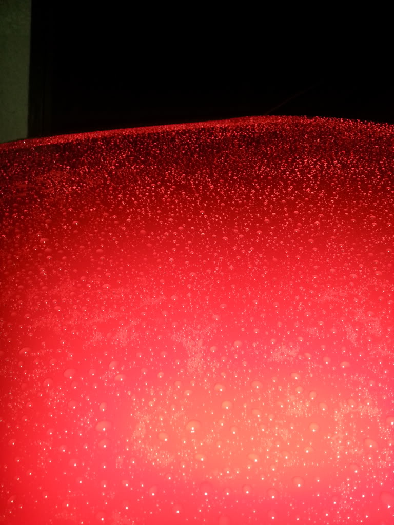 20131104_061154_zps957909e7.jpg