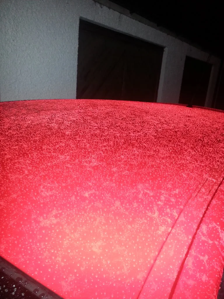 20131104_061201_zps276cd8d6.webp