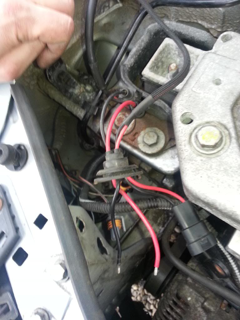 20140409_124329.jpg