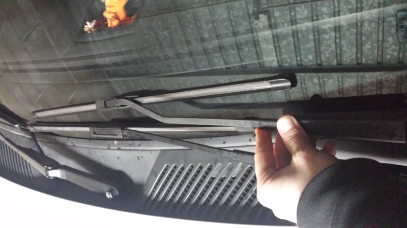 20150103_130101 [800x600].jpg