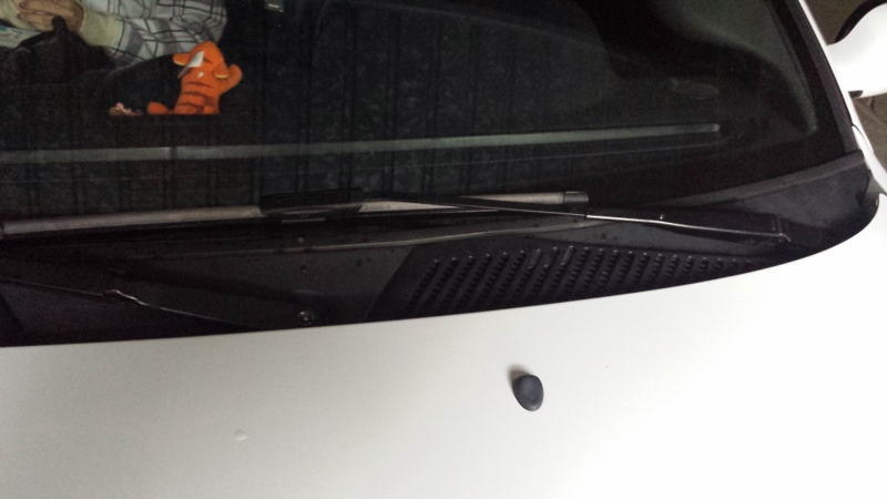 20150103_130217 [800x600].jpg