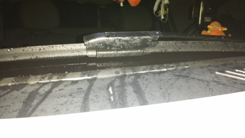 20150107_174417 [800x600].jpg