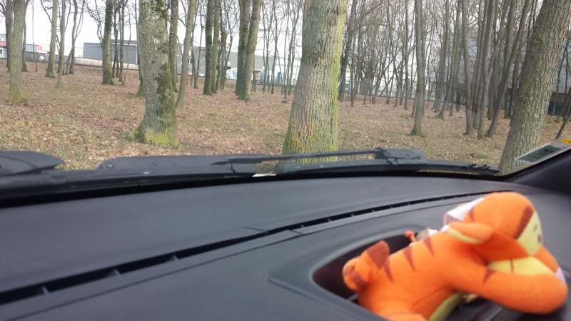 20150116_130334 [800x600].jpg