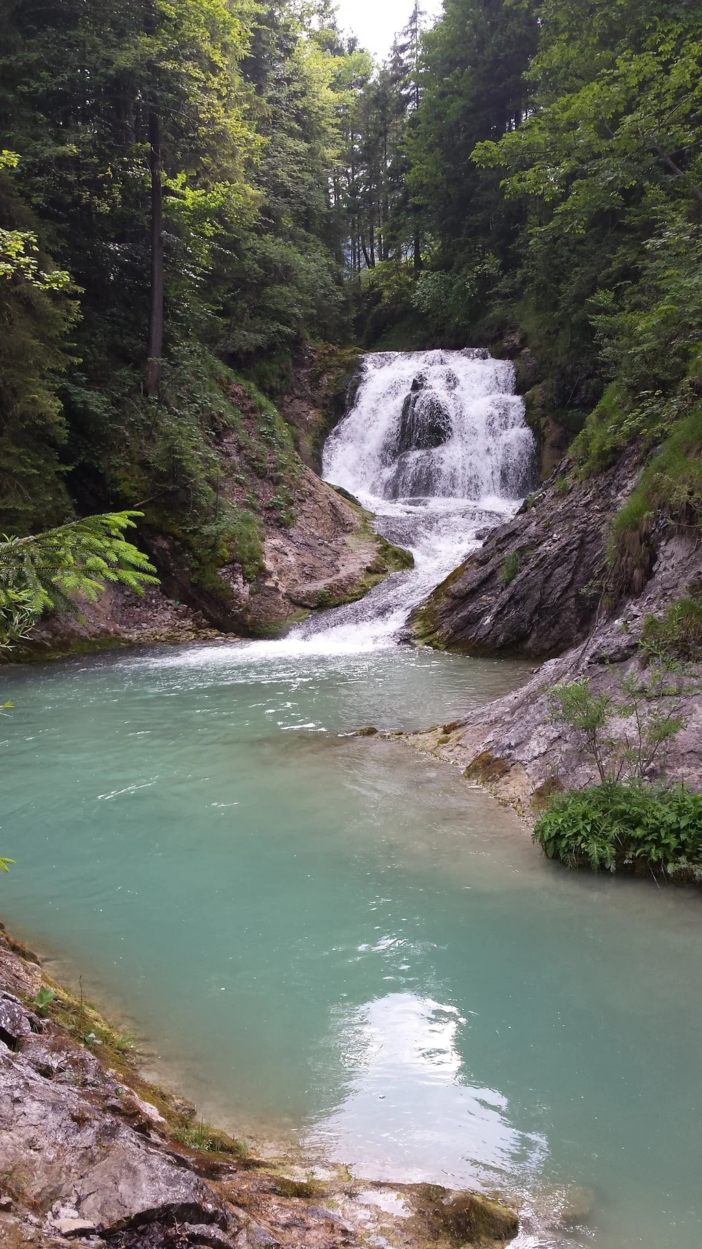 20150617_173050.webp