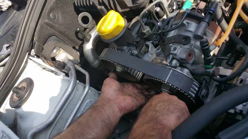 20150812_103614 [800x600].jpg