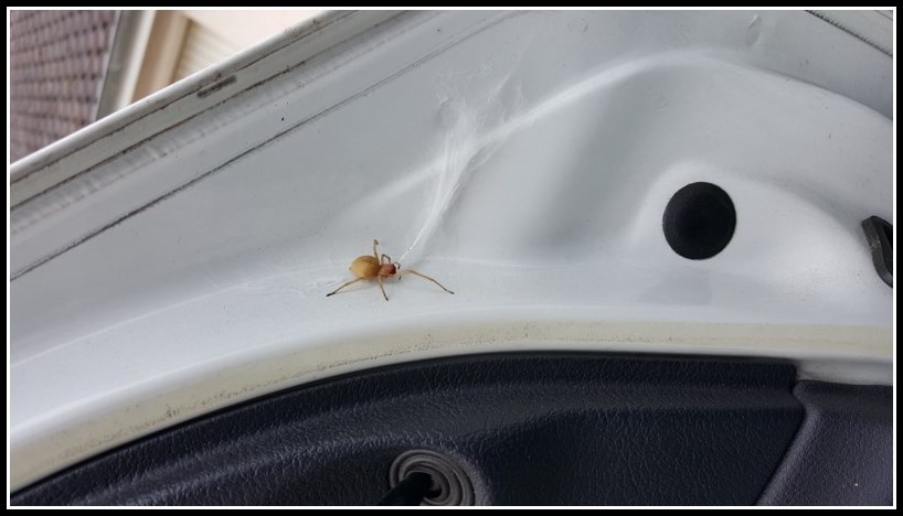 20150820_103131 [800x600].jpg