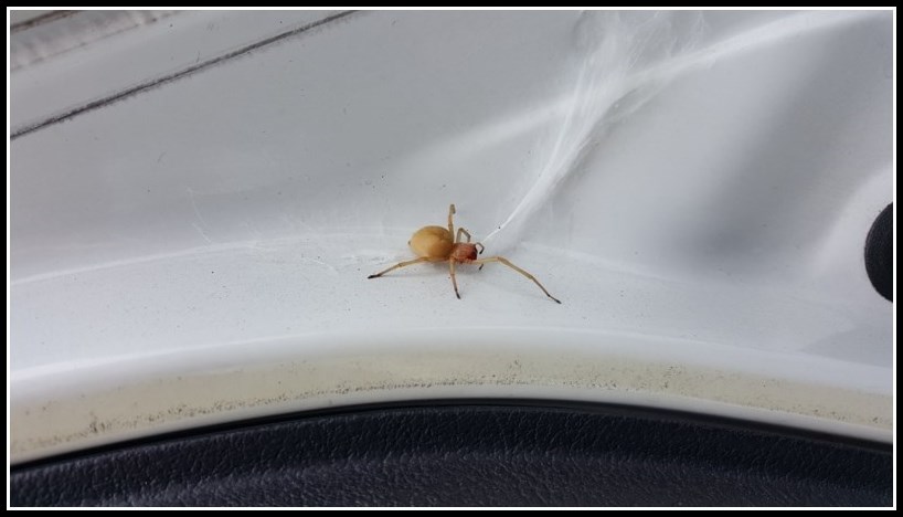 20150820_103135 [800x600].jpg