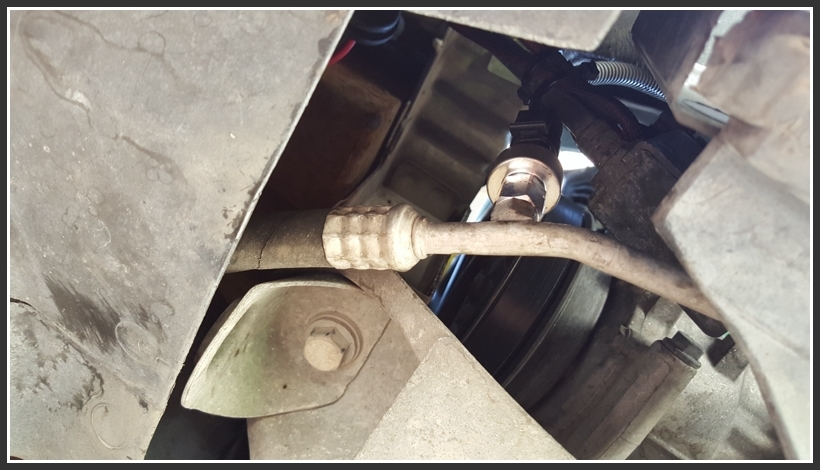 20150822_113050 [800x600].jpg