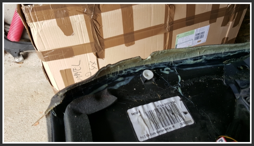 20150905_125631 [800x600].jpg