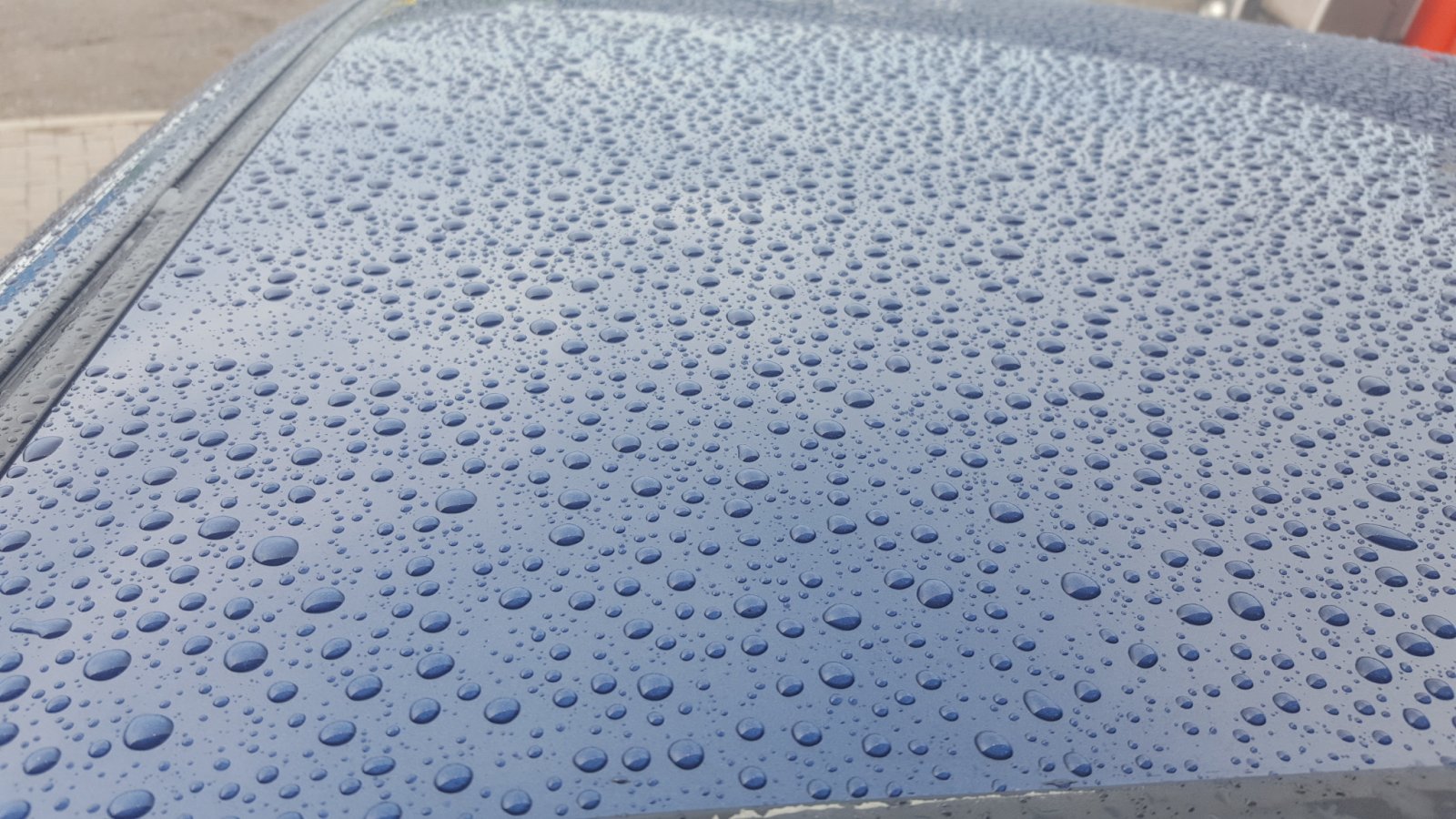 2016-06-08 15.22.42.jpg