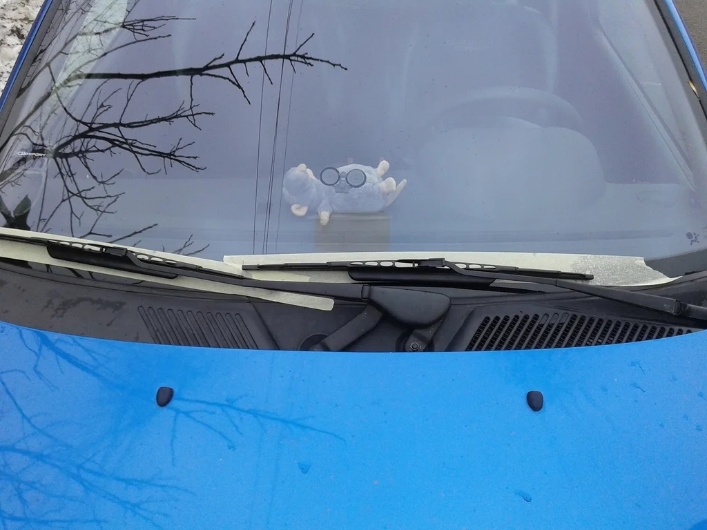 20160212_112544_zpstscysr3e.webp