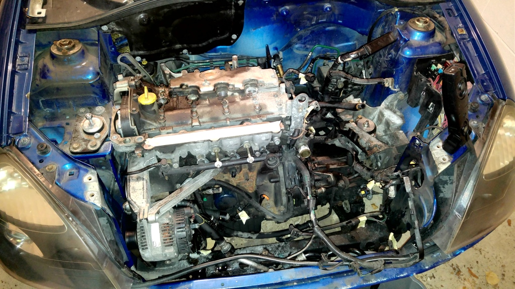 20161107_220852_zpsqitacmkd.jpg