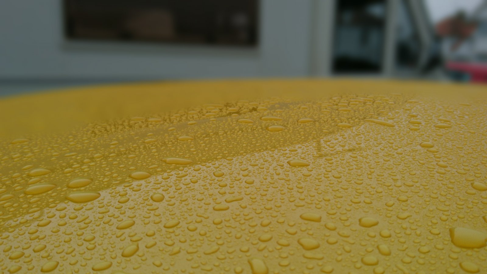 20161218_133009.jpg