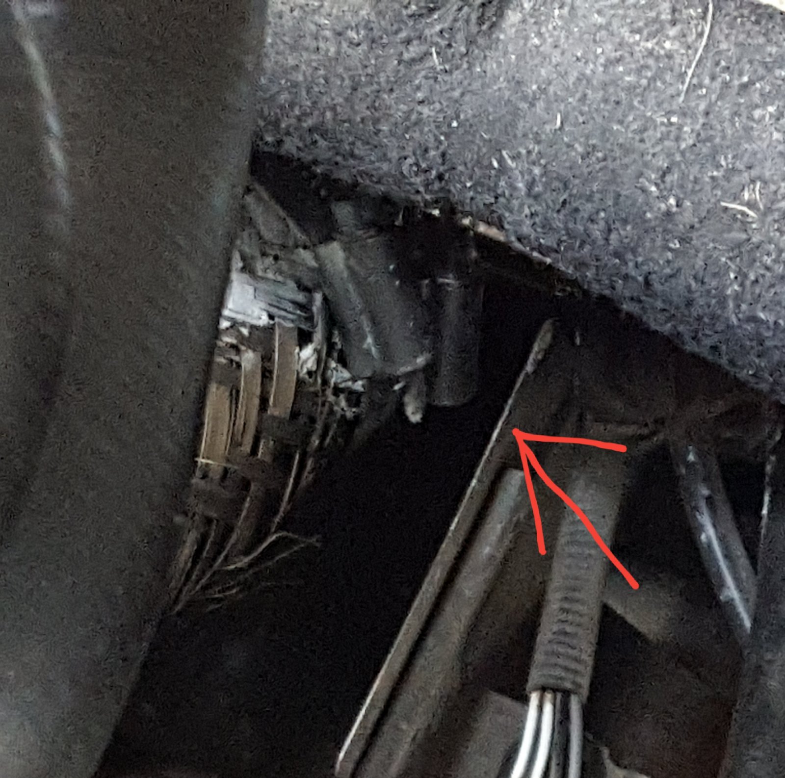 20170518_125744.jpg