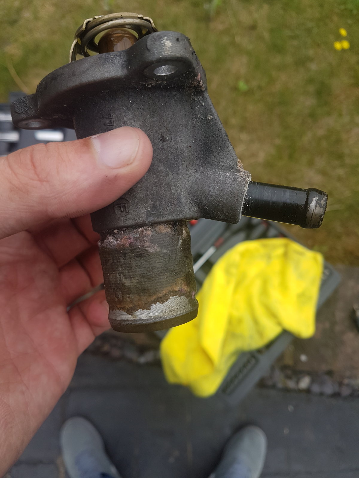 20170716_105950 (1).jpg