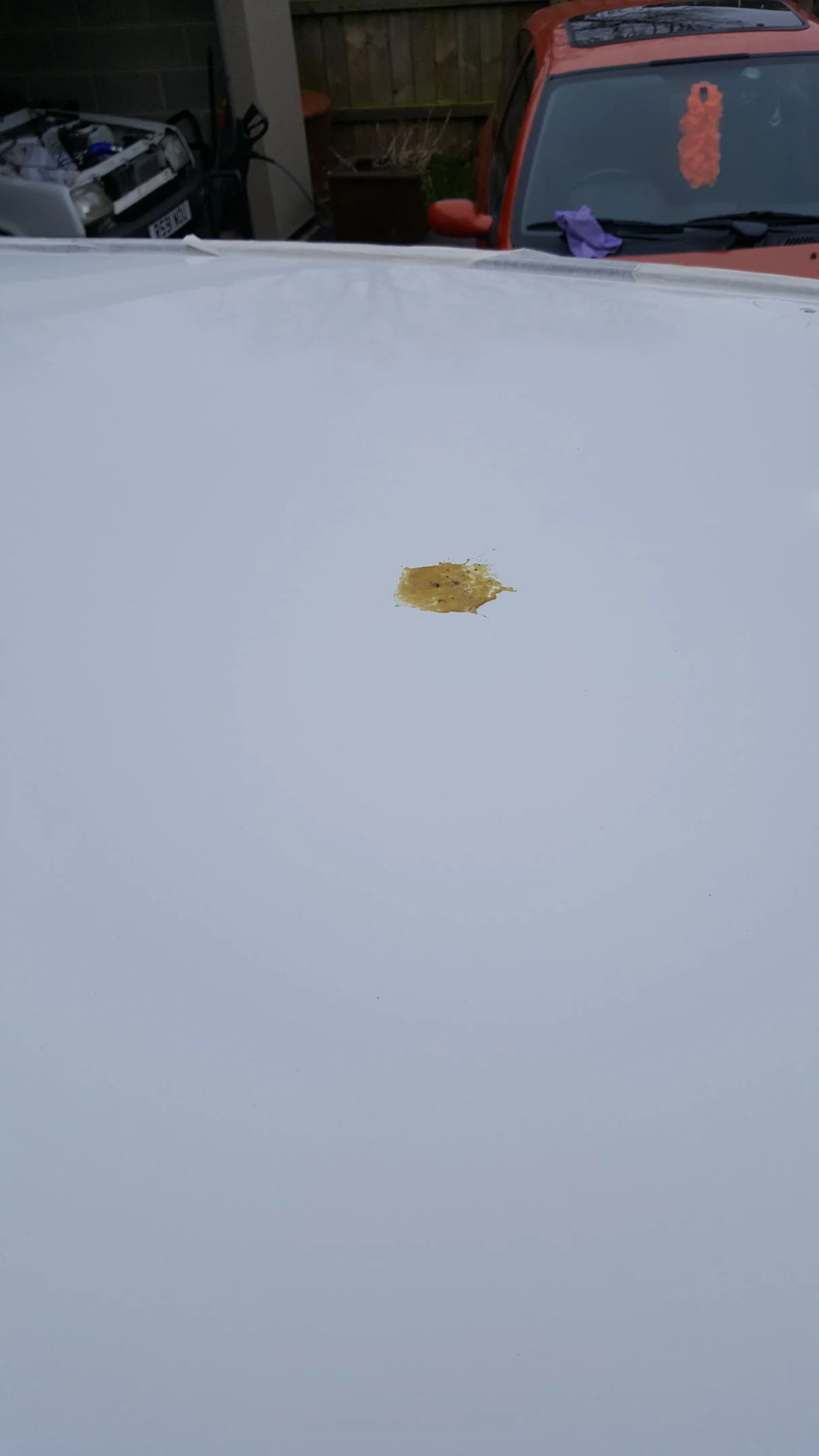 20180408_164955.webp