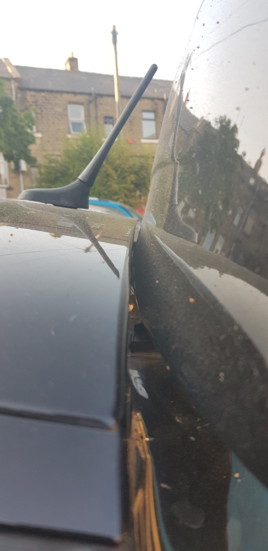 20180704_192403.jpg