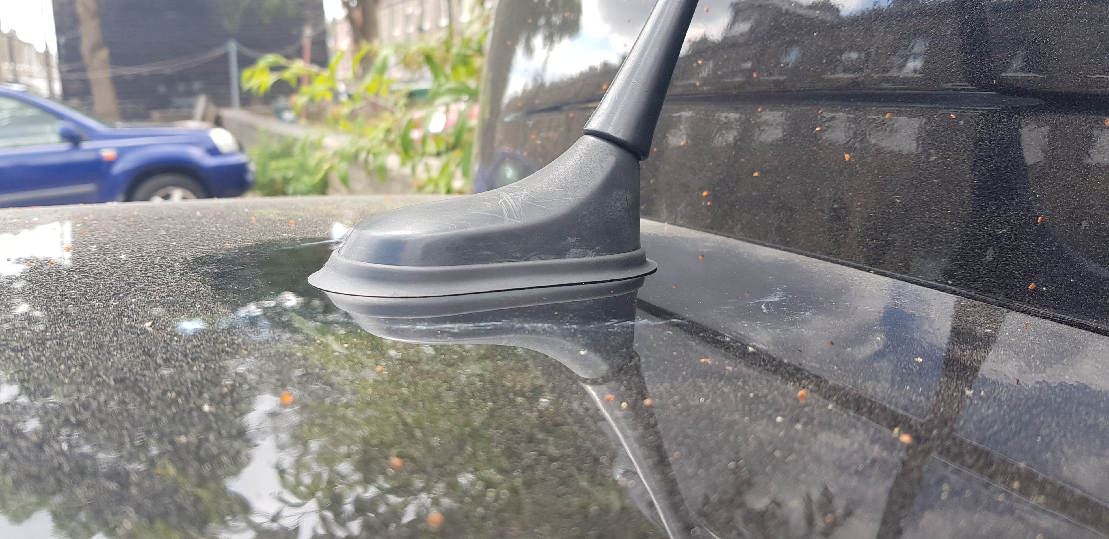 20180707_131033.jpg