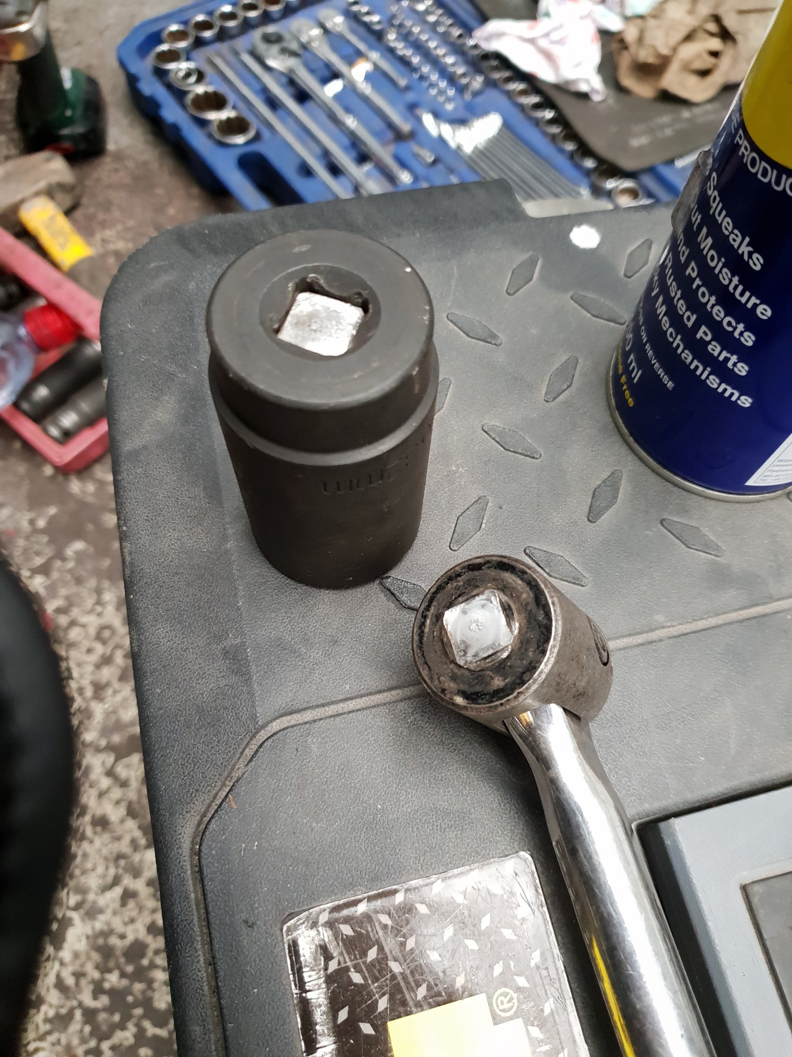 20180818_103152.jpg