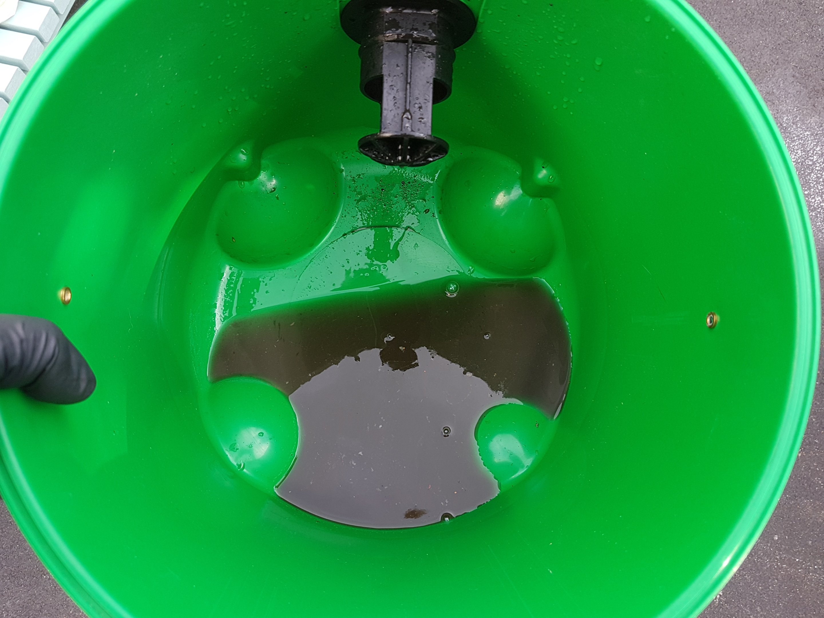 20181004_162256.jpg
