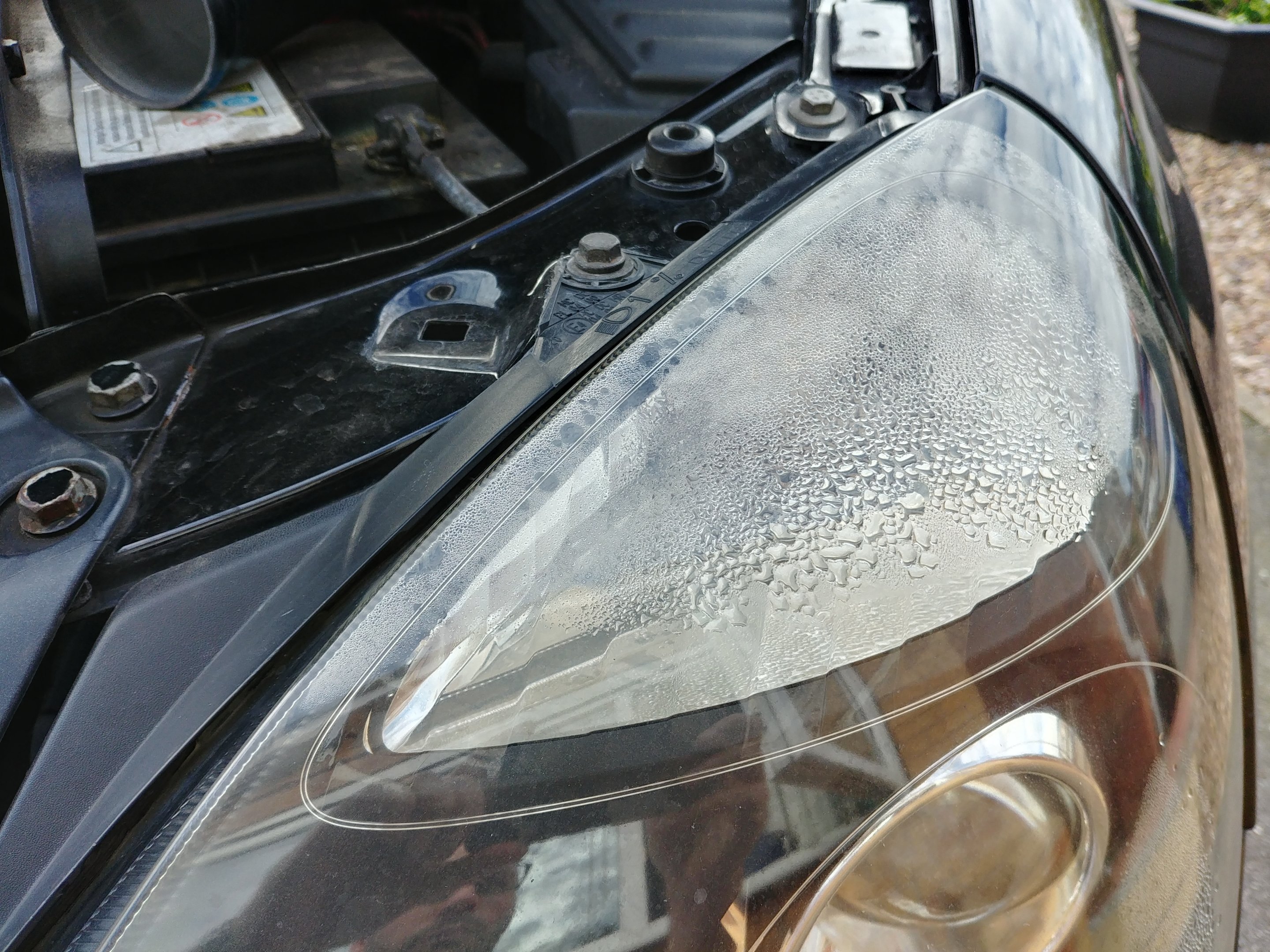 20181020_115843_HDR.jpg