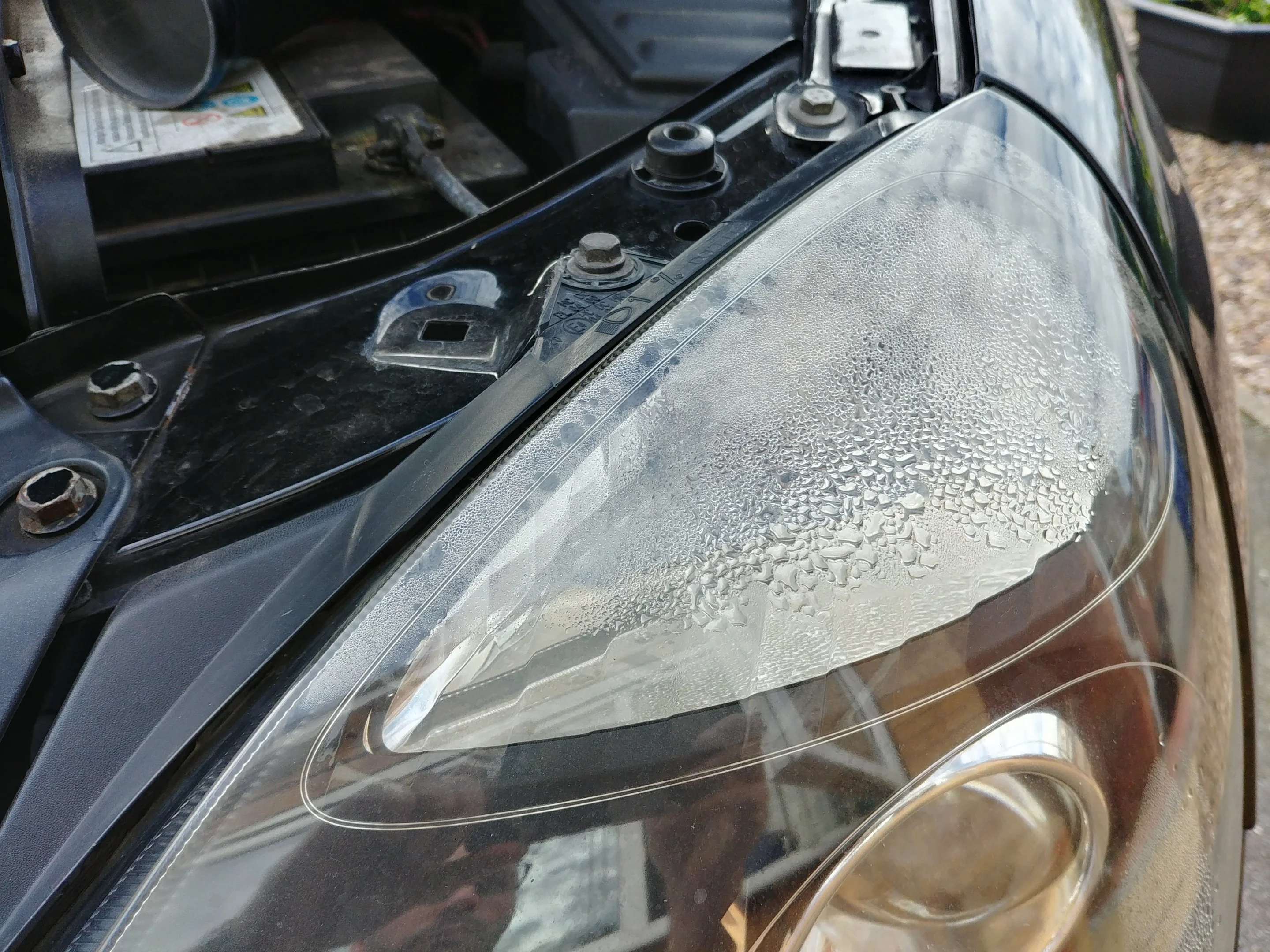 20181020_115843_HDR.webp