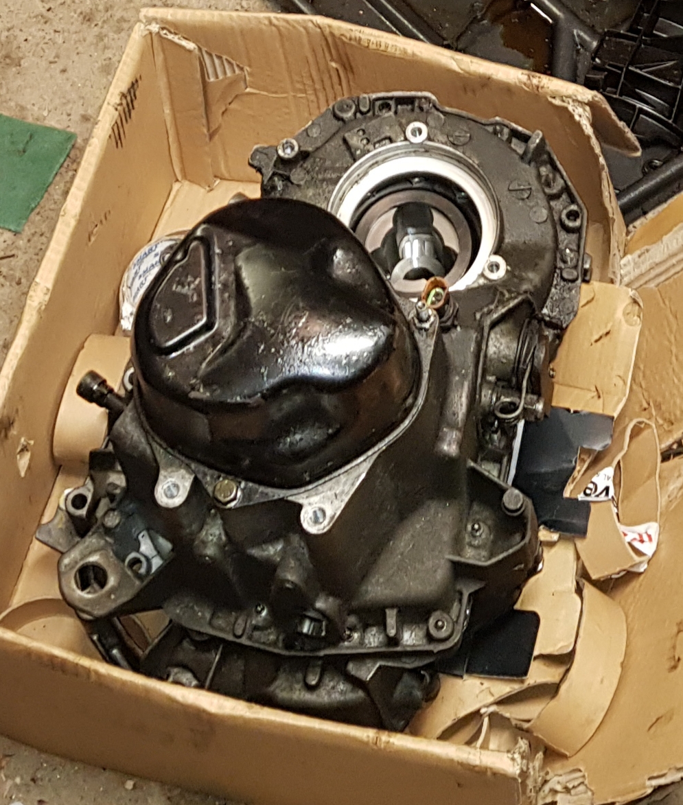 20190211_105552.jpg