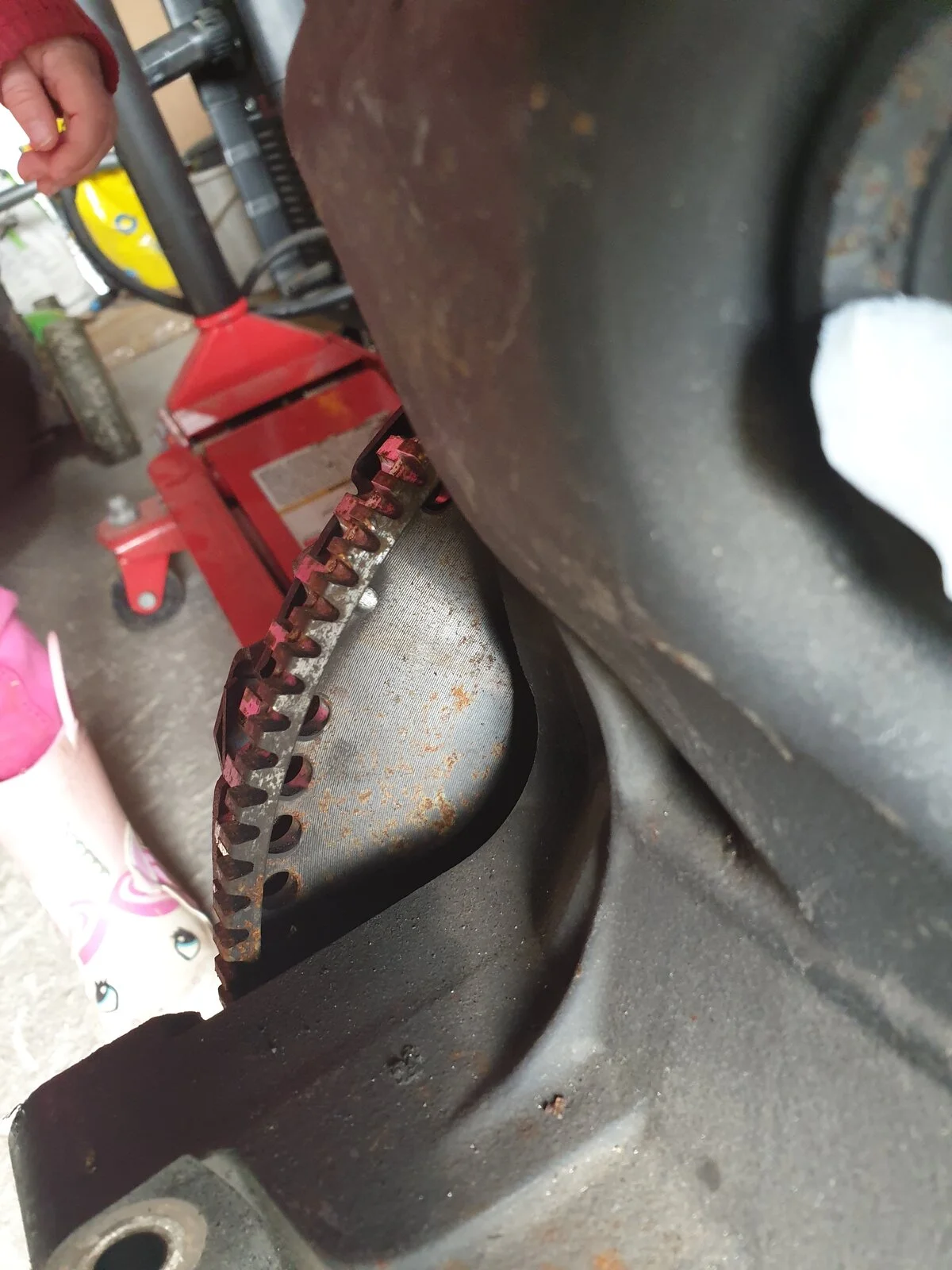 20190323_142238.webp