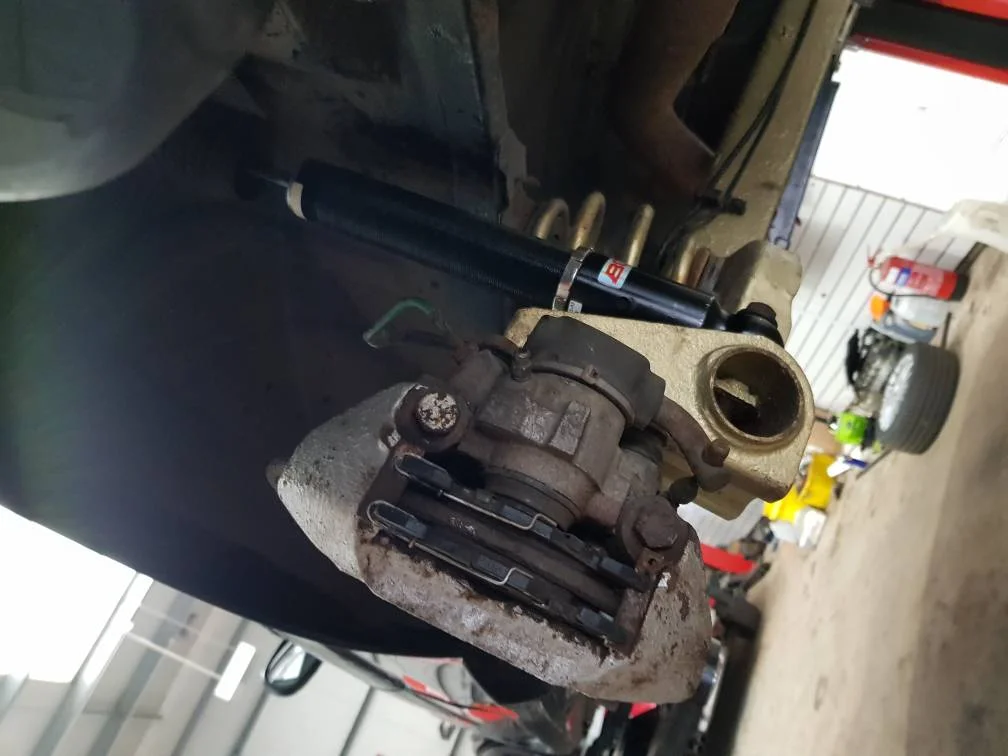 20190406_110445.webp