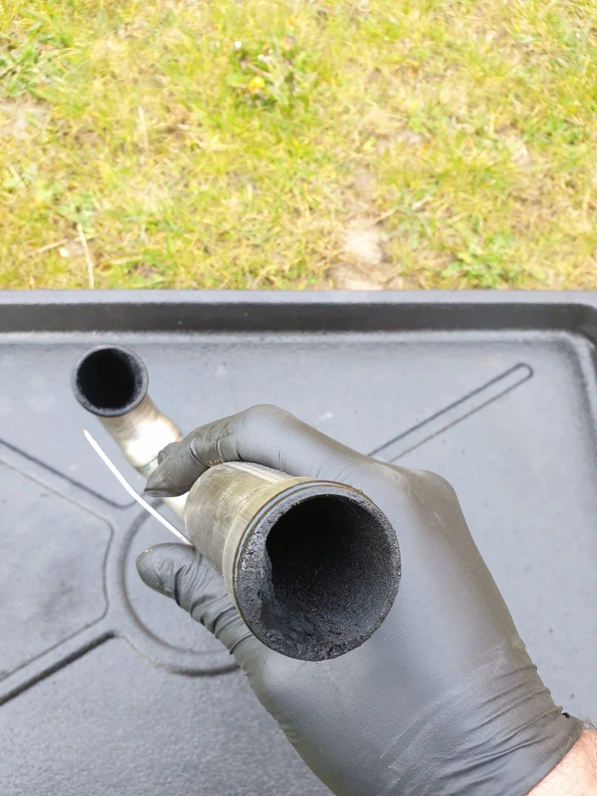 20190419_073648.webp